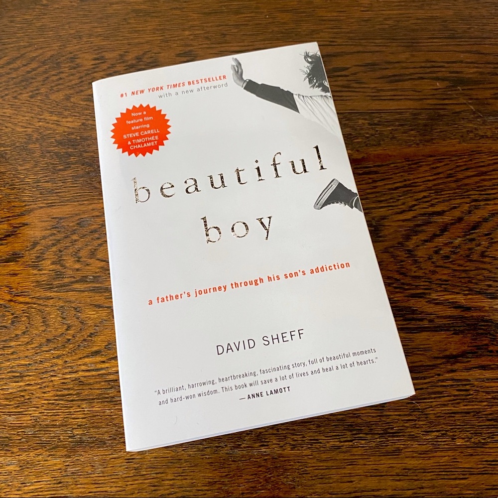 Beautiful Boy by David Sheff